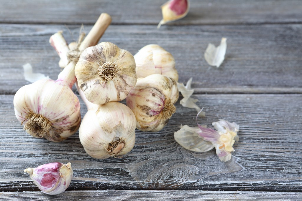 fresh garlic on the old background, food closeup