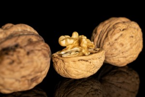 Group of two whole one half of fresh brown walnut isolated on black glass