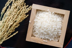 Japanese white rice, natural rice grain for background and texture