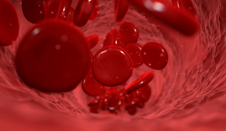 A macro closeup of a blood vein with red blood cells flowing through it - 3D render